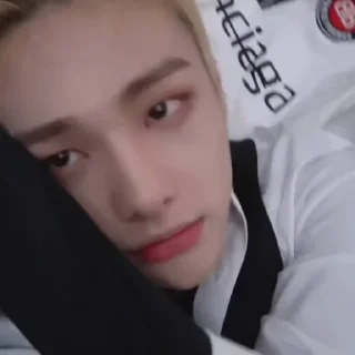 🦙 emoji @inixeyla : hyunjin Telegram sticker 13 of 40