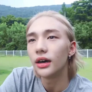 🦙 emoji @inixeyla : hyunjin Telegram sticker 3 of 40