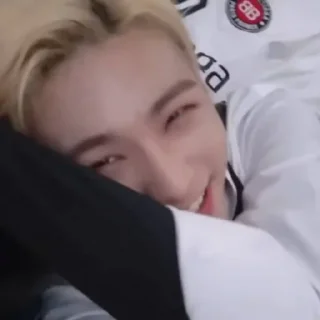 🦙 emoji @inixeyla : hyunjin Telegram sticker 14 of 40