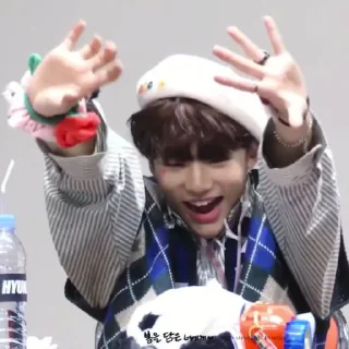 🦙 emoji @inixeyla : hyunjin Telegram sticker 23 of 40