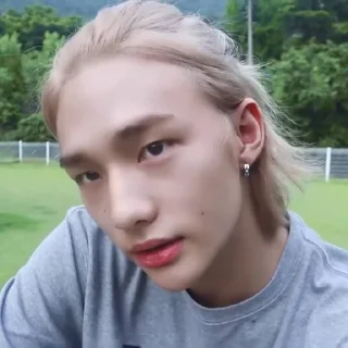 🦙 emoji @inixeyla : hyunjin Telegram sticker 6 of 40