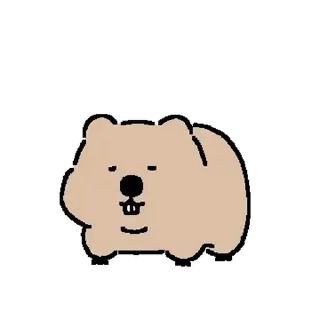 🦫 emoji 웜뱃인데요 @moe_sticker_bot Telegram sticker 21 of 24