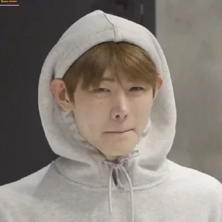 Sticker from Enhypen Sunghoon Memes
