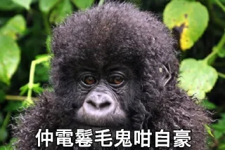 😎 emoji 買嬲的動物園 Telegram sticker 13 of 110