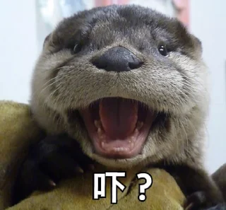🤔 emoji 買嬲的動物園 Telegram sticker 24 of 110