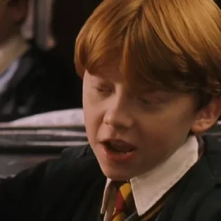 🦁 emoji ⌕ 𝐑𝐎𝐍 𝐖𝐄𝐀𝐒𝐋𝐄𝐘 @GOLDENSNITCHES Telegram sticker 14 of 45