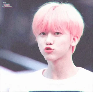 🦋 emoji jaemin scfty 🌱 : : @stickernct : : Telegram sticker 17 of 24