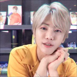 🦋 emoji jaemin scfty 🌱 : : @stickernct : : Telegram sticker 22 of 24