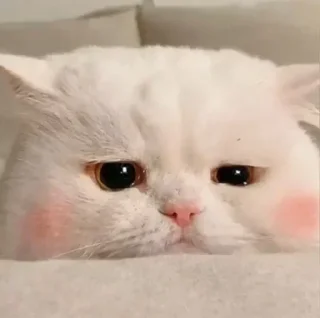💔 emoji 云烟表情包1 Telegram sticker 11 of 80