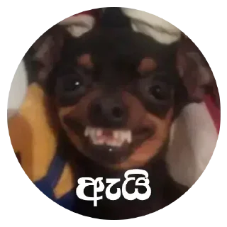 😄 emoji @isara8888 pack 🌝☘️ @Athal_lokaya — @stckrRobot Telegram sticker 6 of 98