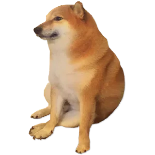 🌝 emoji Cheems @undestined Telegram sticker 8 of 80