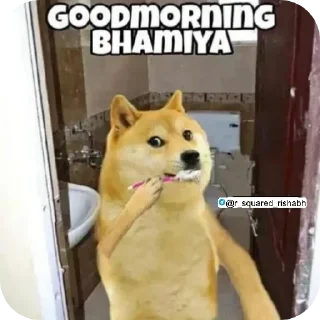 🌟 emoji चीम्स कुत्ते के मीम्स🐶 @r_squared_rishabh — @stckrRobot Telegram sticker 1 of 65