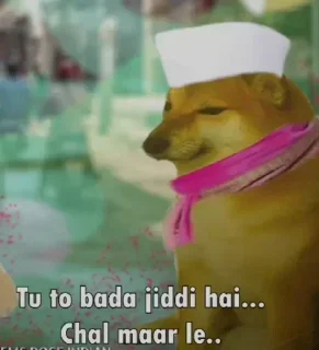 🤔 emoji चीम्स कुत्ते के मीम्स🐶 @r_squared_rishabh — @stckrRobot Telegram sticker 16 of 65