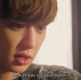 Sticker from ` exo next door — @asteringall 🌻