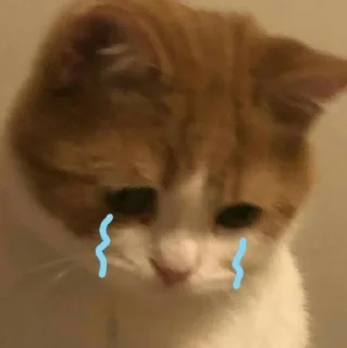 🥺 emoji Gemes Telegram sticker 5 of 23