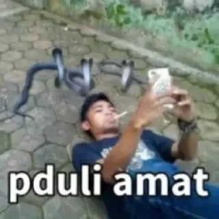 😂 emoji udah sok asik, sok jago pula Telegram sticker 21 of 30