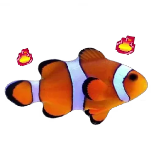 🫥 emoji Ikan Didudod Telegram sticker 1 of 22