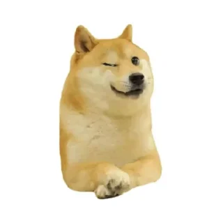 ✅ emoji 𝑺𝑯𝑼𝑩𝑯𝑨𝑴 𝑹𝑨𝑱 ( @shubhamtech2 ) Telegram sticker 17 of 120