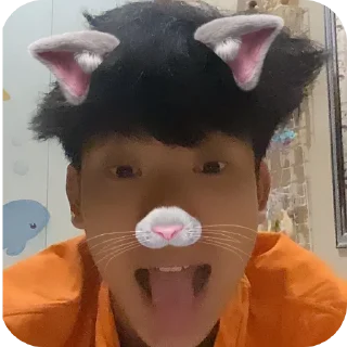 🐱 emoji bale ktl Telegram sticker 6 of 8