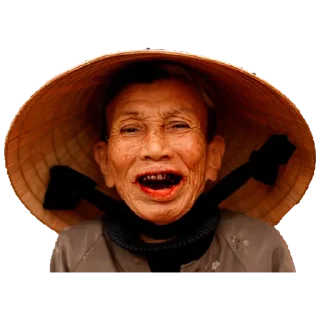 😳 emoji Vietnam Today Telegram sticker 6 of 45