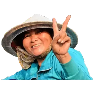 ✌ emoji Vietnam Today Telegram sticker 21 of 45