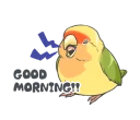 ☀ emoji Small birds sticker! Telegram sticker 22 of 40