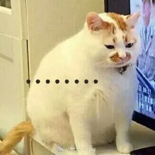 😐 emoji 网图ⁱ Telegram sticker 7 of 71