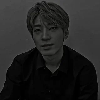 🀄 emoji WONWOO 17 – @fvkshitdaddy Telegram sticker 9 of 45