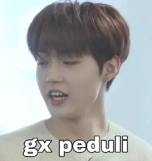 🤭 emoji anoi bucin wawan Telegram sticker 20 of 40