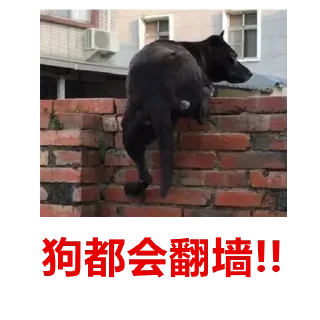 👮‍♂️ emoji @stargff 明星女友 Telegram sticker 24 of 49