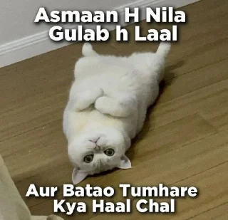 🤣 emoji Teju Bhai- @kanekilost Telegram sticker 4 of 29