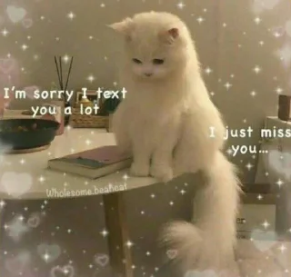😂 emoji 𝐖ση∂єяƒυℓ 🍃🌸@sochkdmkrna — @stckrRobot Telegram sticker 17 of 100