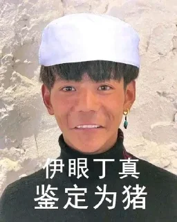 👳 emoji 义眼丁真Plus Telegram sticker 5 of 120
