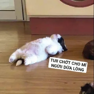 😋 emoji "Trứng cuteee 🥚❤️" Telegram sticker 11 of 52