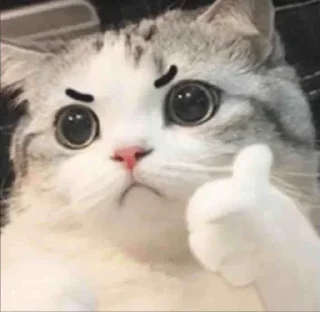 😼 emoji join - @TheFriendsChatting Telegram sticker 8 of 49