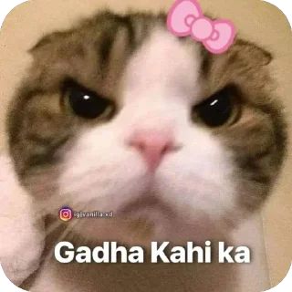 Sticker from Hima_sticker_pack_by_@app_Robot