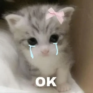 🥺 emoji Sara's pack — @stckrRobot Telegram sticker 18 of 120
