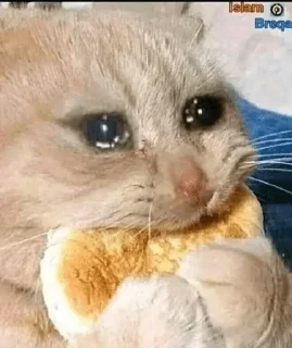 🥺 emoji Sad Chats | @tarahume | @StickerXtara Telegram sticker 19 of 120