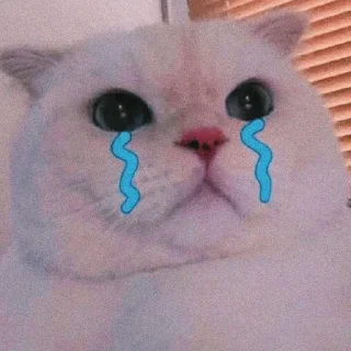 🥺 emoji Sad Chats | @tarahume | @StickerXtara Telegram sticker 3 of 120