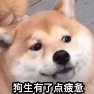 👈 emoji 给个机会？ @OB1314 Telegram sticker 20 of 56