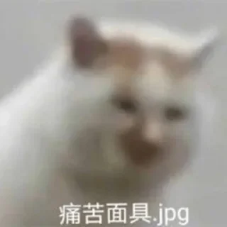 👈 emoji 给个机会？ @OB1314 Telegram sticker 5 of 56