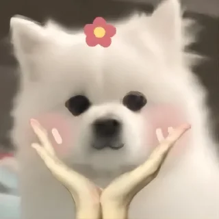 🥰 emoji @linshanshanya  林闪闪 Telegram sticker 9 of 77