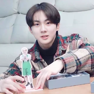 🍙 emoji Yang Jungwon @ANDRELNRDS Telegram sticker 16 of 55