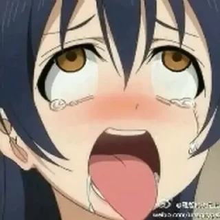 😂 emoji 龟龟个人常用表情包 Telegram sticker 20 of 85