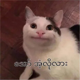 🙄 emoji Your stickers - @my_stckers_bot Telegram sticker 16 of 120