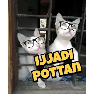 😂 emoji Mallu Cat @Sticker_Pack_Channel Telegram sticker 9 of 120