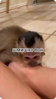 😂 emoji Больше стиков тут: @stikery22 Telegram sticker 24 of 50
