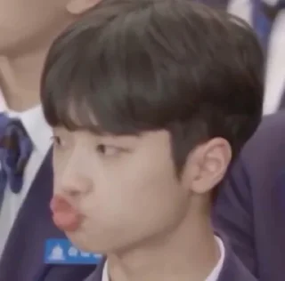 😗 emoji Produce Telegram sticker 23 of 84