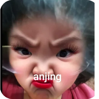 🤲 emoji cucu adabi skibidi halo rek tanam2 ubi opet idiot. Telegram sticker 7 of 40