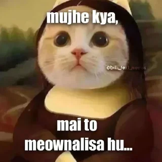 😺 emoji @fubukilll funny hindi mems pack — @stckrRobot Telegram sticker 23 of 118